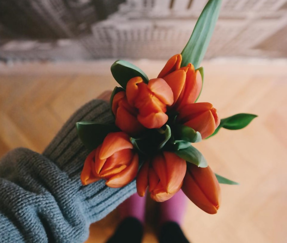 9 things to do on Valentine's Day when you're single